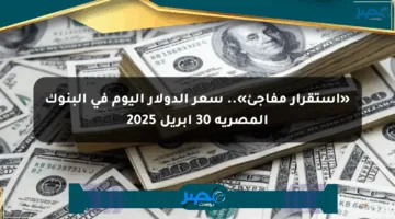 «استقرار مفاجئ».. سعر الدولار اليوم في البنوك المصرية 30 أبريل 2025